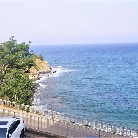 Appartement T3 A Banyuls, Climatise, Proche Plage - Fr-1-309-281 Εξωτερικό φωτογραφία